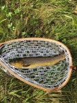 헐리우드 Hillside Trout Fishery 주변 베스트 모텔 10 곳 - 트립어드바이저