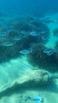 산호세데사탈라이아 Ibiza Sea Riders 주변 베스트 모텔 10 곳 - 트립어드바이저