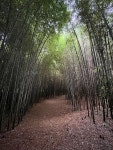 익산 구룡마을 대나무숲 근처 호텔 베스트 10 - Tripadvisor 익산 구룡마을 대나무숲 근처 호텔 베스트 10  - Tripadvisor