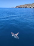 칼라온다 Sam Sea Trips 주변 베스트 모텔 10 곳 - 트립어드바이저