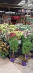 마톡 Plants Galore Yeovil 근처 호텔 베스트 10 - Tripadvisor 마톡 Plants Galore Yeovil 근처 호텔 베스트 10  - Tripadvisor