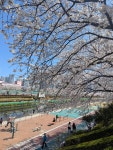 부산 Oncheoncheon Stream 주변 베스트 모텔 10 곳 - 트립어드바이저