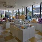 대전 드림하우스 2호점 근처 호텔 베스트 10 - Tripadvisor 대전 드림하우스 2호점 근처 호텔 베스트 10  - Tripadvisor