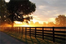  Curious Yearlings - Hermitage Farm, 고센 사진 - 트립어드바이저  Curious Yearlings - Hermitage Farm, 고센 사진 - 트립어드바이저