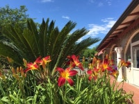  Attività sportive - Camping Villaggio Rubicone, Savignano a Mare 사진 - 트립어드바이저  Attività sportive - Camping Villaggio... 