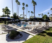 The Silicon Valley Pool at The Parker Palm Springs - 파커 팜스프링스의 이미지 - 트립어드바이저
