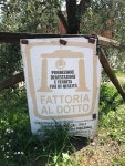 The logo, there is a story... - Fattoria al Dotto, 루카 사진 - 트립어드바이저