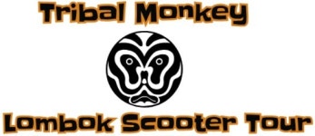  Tribal Monkey Logo - Tribal Monkey Lombok Scooter Tour, 마타람 사진 - 트립어드바이저  Tribal Monkey Logo - Tribal Monkey Lombok... 