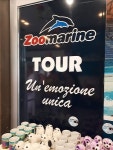  zoomarine logo - 주마리네, Torvaianica 사진 - 트립어드바이저  zoomarine logo - 주마리네, Torvaianica 사진 - 트립어드바이저