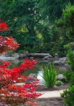  Der japanische Teich - Ganna Walska Lotusland, 몬테시토 사진... Teich - Ganna Walska Lotusland, 몬테시토 사진 - 트립어드바이저