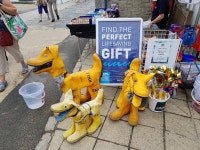 RNLI Gift Shop - RNLI Gift Shop, 라임 레지스 사진 - 트립어드바이저