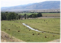 Elbow Creek Retreat UPDATED 2019: 5 Bedroom House Rental in Pray with Grill and Hot Tub - TripAdvisor