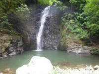 Near Monteverde Rancho el Rio- Lush Paradise/Farm UPDATED 2020 - Tripadvisor - Monteverde Cloud Forest Reserve Vacation Rental