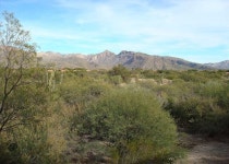 1 Bedrm/Den with Fantastic Mountain Views-Open floor plan- King bed in Master UPDATED 2019 - TripAdvisor - Tucson Vacation Rental