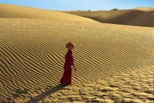 Incredible Holiday India Has Childrens Pool and Ocean Views - UPDATED 2024 - Tripadvisor - Agra Vacation Rental