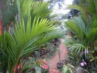 THE BEST Godakawela Family & Kid Friendly Vacation Rentals - Tripadvisor - Book Kid Friendly Vacation Rentals in Godakawela