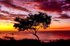 Casa Alang Alang UPDATED 2019: 7 Bedroom Villa in Tamarindo with Housekeeping Included and Grill - TripAdvisor