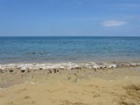 Upscale and Spacious, Right Off Steps Beach UPDATED 2019 - TripAdvisor - Rincon Vacation Rental