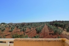 Villa holiday house in the typical countryside of Salento in Puglia to Matino a UPDATED 2020 - Tripadvisor - Matino Vacation Rental