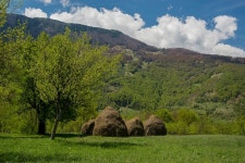 Family farmsted UPDATED 2022: 3 Bedroom Guest house in Andrijevica with Balcony and Private Yard - Tripadvisor