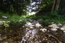 APPARTAMENTO N.5 AGRITURISMO LA VALLE DEGLI ULIVI UPDATED 2019 - TripAdvisor - Trecchina Vacation Rental
