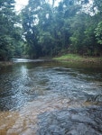 THE BEST Daintree House Rentals - Tripadvisor