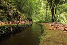 Palms Palace - Nice apartment with swimming pool near the city centre UPDATED 2019 - TripAdvisor - Funchal Vacation Rental