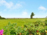 TripAdvisor - Bork Havn UPDATED 2019 - Self-Catering Bork Havn Vacation Rental