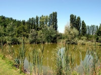 TripAdvisor - Ulivo UPDATED 2019 - Self-Catering Marti Vacation Rental