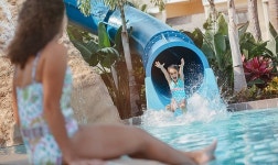 Newly Refurbished Sheraton Resort, Seven Pools, near Disney, Universal, Sea Worl UPDATED 2023 - Tripadvisor - Orlando Vacation Rental