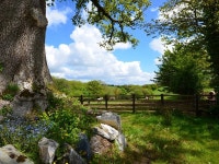 OLDOA Barn situated in Liskeard (8mls N) Has Internet Access - UPDATED 2019 - TripAdvisor - Henwood Vacation Rental