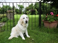 CC027 Apartment situated in Witney Has Internet Access and Private Yard - UPDATED 2019 - TripAdvisor - Brighthampton Vacation Rental