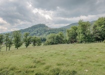4 BR 3 1/2 Bath Log ,Views, Paved Access, Game Rm, Hot Tub, Internet, Pets UPDATED 2022 - Tripadvisor - Maggie Valley Vacation... 