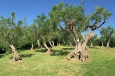 Fano Villa Sleeps 8 with Pool Air Con and WiFi - 5218218 UPDATED 2020 - Tripadvisor - Fano Vacation Rental