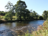 MILL OF TANNADICE, riverside cottage with fishing rights, Rayburn, Ref 976967 UPDATED 2019 - TripAdvisor - Murthill Vacation Rental