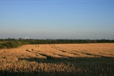 Stibb Hollow Farm B&B Has DVD Player and Wi-Fi - UPDATED 2020 - Tripadvisor - Great Torrington Vacation Rental