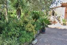 Finca ES PLETO UPDATED 2020: 4 Bedroom House Rental in Lloret de Vistalegre with Internet Access and Wi-Fi - Tripadvisor