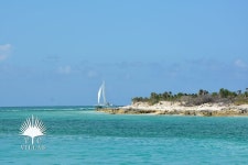 Nutmeg Cottage In Turks And Caicos, a 1BR on Grace Bay Beach UPDATED 2019 - TripAdvisor - Turtle Cove Vacation Rental