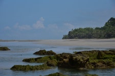 Costa Rica Surf House -1 Minute walk to beach. Great for families and groups! UPDATED 2019 - TripAdvisor - Santa Teresa Vacation... 