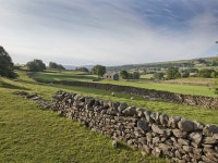 TripAdvisor - G0052 Cottage situated in Masham UPDATED 2019 - Self-Catering Jervaulx Vacation Rental