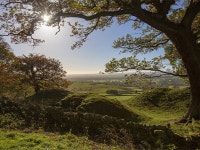 G0126 Barn situated in Barnard Castle UPDATED 2019 - TripAdvisor - Romaldkirk Vacation Rental