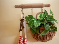 G0185 House situated in Leyburn UPDATED 2019 - TripAdvisor - Carlton Vacation Rental