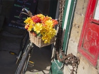 G0167 House situated in Robin Hoods Bay UPDATED 2019 - TripAdvisor - Fylingthorpe Vacation Rental