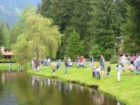 86SL Rustic Cabin near Mt. Baker Has Parking and DVD Player - UPDATED 2019 - TripAdvisor - Glacier Vacation Rental