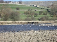 G0101 Cottage situated in Reeth UPDATED 2019 - TripAdvisor - Reeth Vacation Rental
