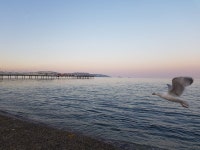 3 Sheets To The Wind, Torquay Has Central Heating and Internet Access - UPDATED 2019 - TripAdvisor - Torquay Vacation Rental