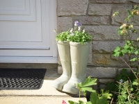 DC076 Bungalow situated in Lulworth Cove UPDATED 2019 - TripAdvisor - West Lulworth Vacation Rental