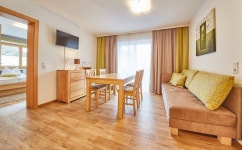Appartements Hollin Top 1 by HolidayFlats24 Has Cable/satellite TV and Balcony - UPDATED 2019 - TripAdvisor - Saalbach... 