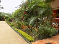 Studio for 2 ppl. with sea view, garden and terrace at Foulpointe UPDATED 2024 - Tripadvisor - Mahavelona Vacation Rental