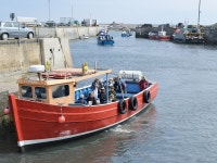 Spinney UPDATED 2022: 2 Bedroom Cottage in Seahouses with Internet Access and Central Heating - Tripadvisor